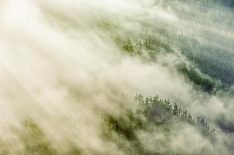 Fairy-tale Landscapes