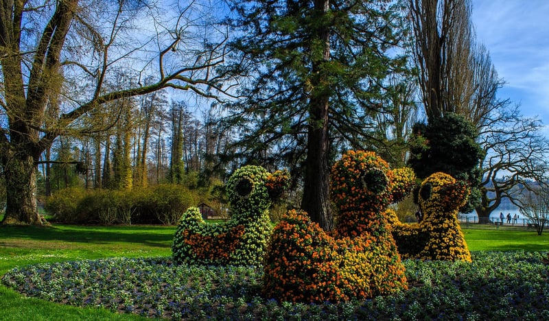 Floral Diversity