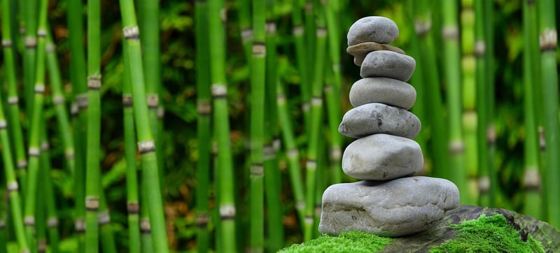 Stepping Stone