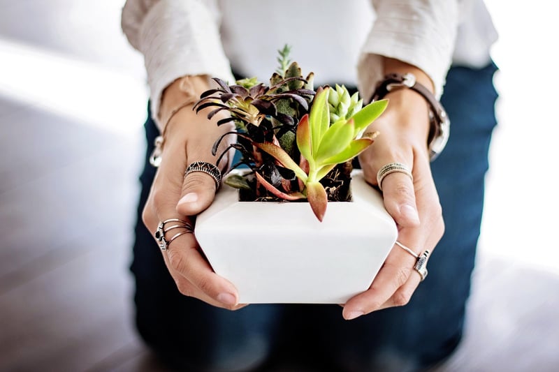 Repurposed Planter